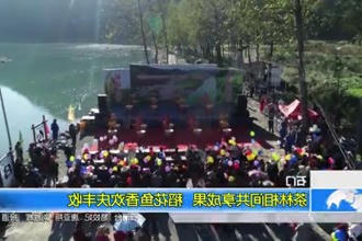 石门：茶林相间共享成果 稻花鱼香欢庆丰收