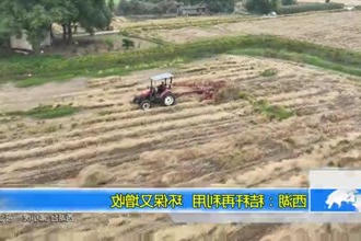 西湖：秸秆再利用 环保又增收