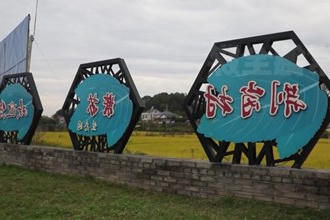 临澧荆岗村：紫苏丰产市场走俏 农民笑开颜
