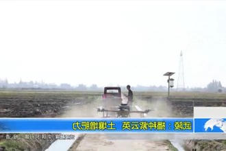 武陵：播种紫云英 土壤增肥力