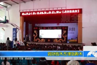 木偶皮影艺术进校园