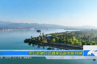 柳叶湖水域迎来数万只候鸟过冬