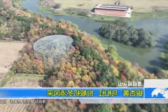 澧县城头山：银杏黄 乌桕红 扮靓初冬添风采