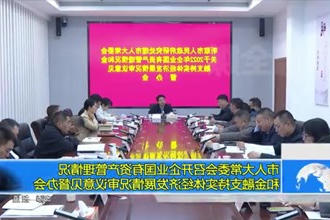 市人大常委会召开企业国有资产管理情况和金融支持实体城市经济概况情况审议意见督办会