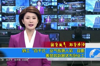 澧县：深入推进产业