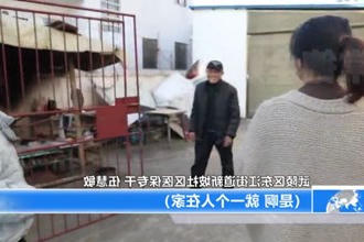 医保