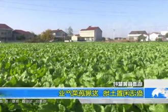 临澧县黄鳌村：盘活闲置土地 发展蔬菜产业