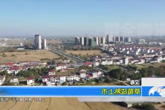 汉寿县：草莓成熟上市