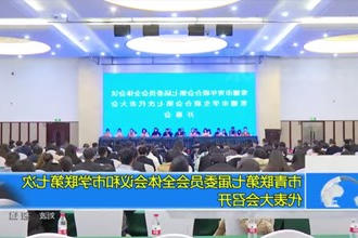 市青联第七届委员会全体会议和市学联第七次代表大会召开