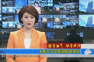 官新高速桃源段正式通车