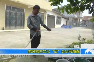 武陵：道德评议会