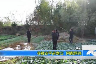 汉寿：拆网清网 让候鸟平安越冬