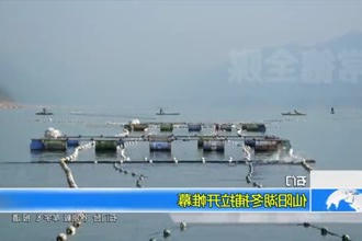 石门：仙阳湖冬捕拉开帷幕