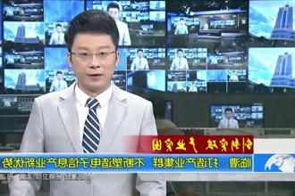 临澧：打造产业集群 不断塑造电子信息产业新优势