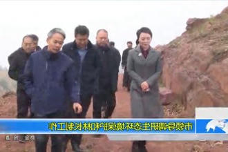 市领导调研生态环境保护和林长制工作
