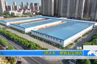 澧县： 为民企送政策