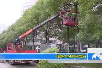 武陵：开展冬季树木修剪