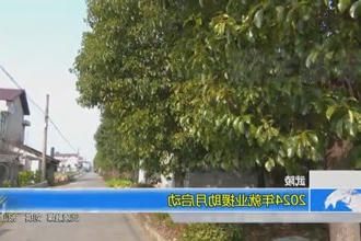 武陵：2024年就业援助月启动