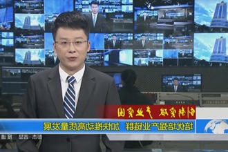 培优培强产业链群 加快推动高质量发展