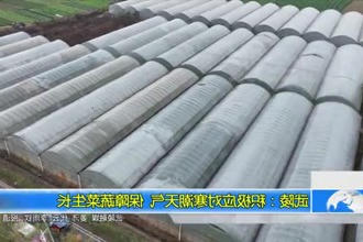 武陵：积极应对寒潮天气 保障蔬菜生长
