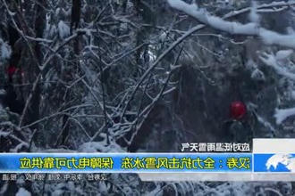 应对低温雨雪天气(1.24)