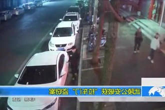 武陵公安破获