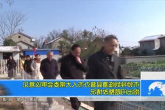 市领导到临澧县督办市人大常委会审议意见指出问题整改情况