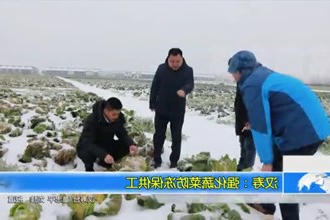 汉寿：强化蔬菜防冻保供工