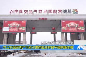 全力应对低温雨雪冰冻天气(2.5)