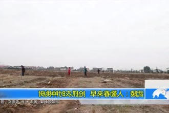 武陵：人勤春来早 抢抓农时种桃树