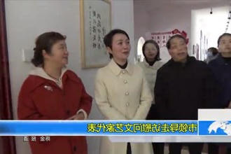 市领导走访慰问文艺家代表