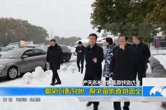 全力应对低温雨雪冰冻天气(2.8)