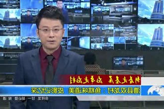 新春走基层 龙年走龙村 澧县双龙村：鱼糕味道美 皮影记忆深