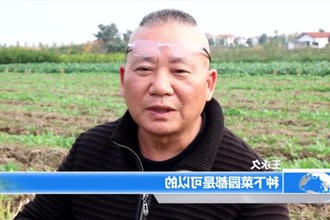 农家小院里的