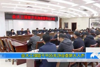 常德市召开防范应对低温雨雪冰冻天气工作会商会