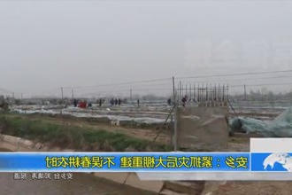 安乡：紧抓灾后大棚重建 不误春耕农时