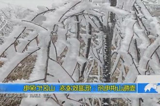 壶瓶山供电所：低温致凌冻 山区忙保电