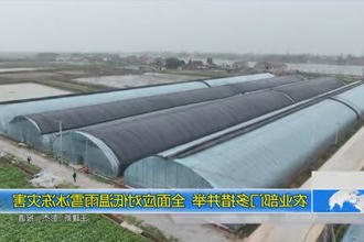 农业部门多措并举 全面应对雨雪冰冻灾害