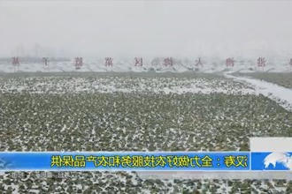 汉寿：全力做好农技服务和农产品保供