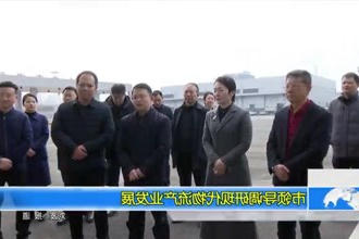 市领导调研现代物流产业发展