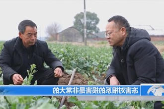 津市：农技人员入户指导 加紧恢复农业生产