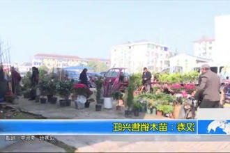 汉寿：苗木销售兴旺