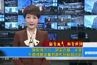 安乡：奋力实现