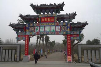 安乡：以花为媒激活