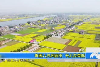 汉寿：油菜花儿开 田园风光入画来