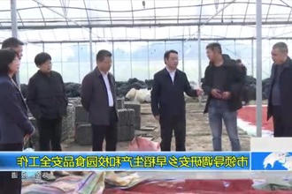 市领导调研安乡早稻生产和校园食品安全工作