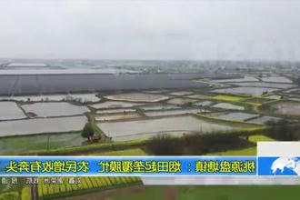 桃源盘塘镇： 烟田起垄覆膜忙 农民增收有奔头