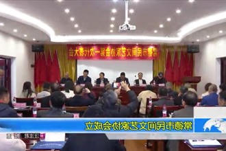 常德市民间文艺家协会成立