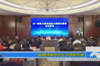 我市保险行业协会顺利换届
