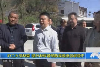 市领导赴桃源县调研督导林长制、森林防火工作